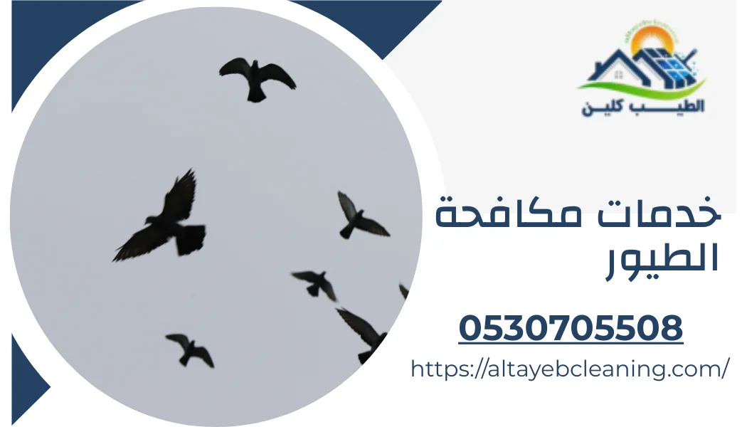 خدمات مكافحة الطيور