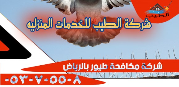 مكافحة طيور