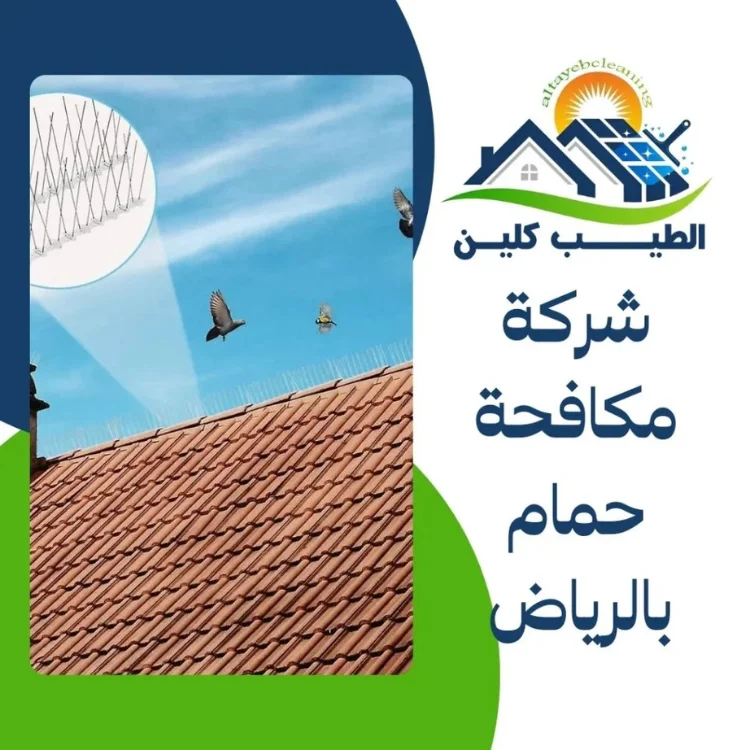 شركة مكافحة حمام بالرياض