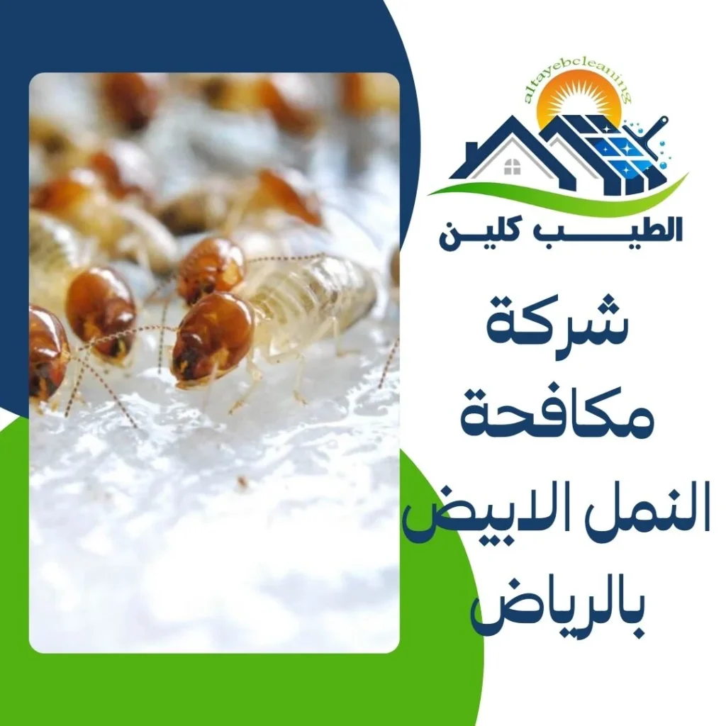 شركة مكافحة النمل الابيض بالرياض