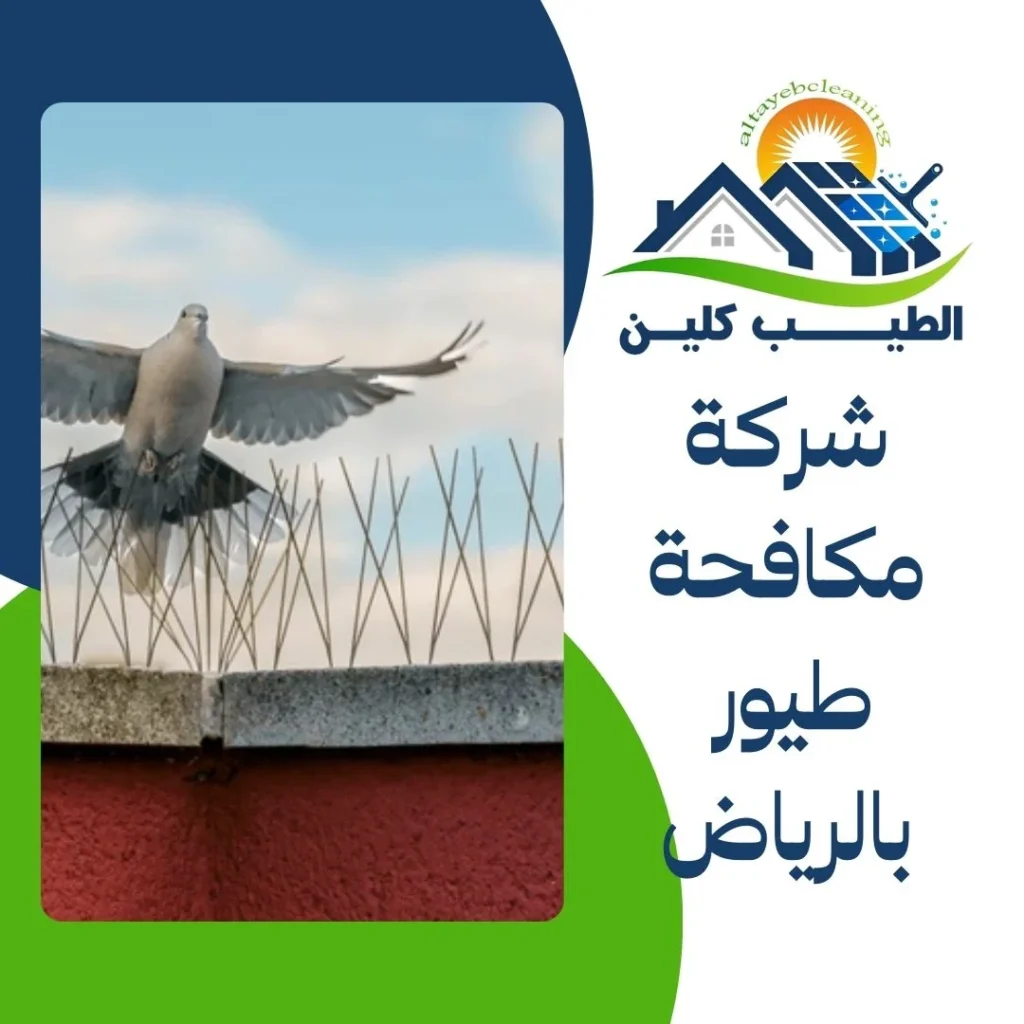 شركة مكافحة طيور بالرياض