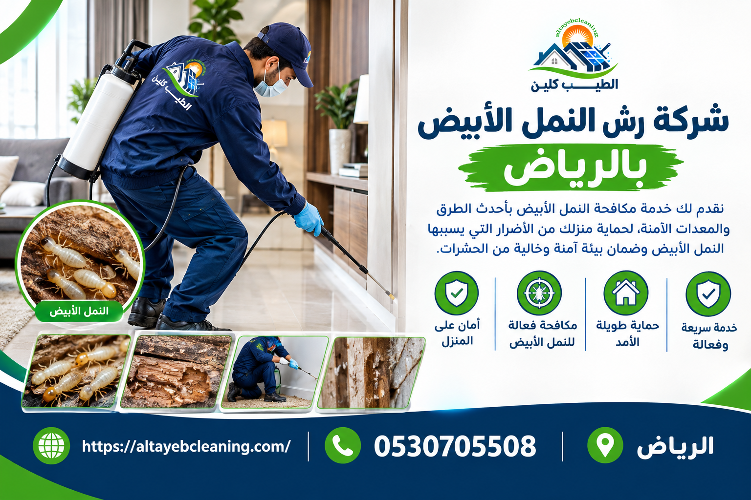 شركة رش النمل الأبيض بالرياض