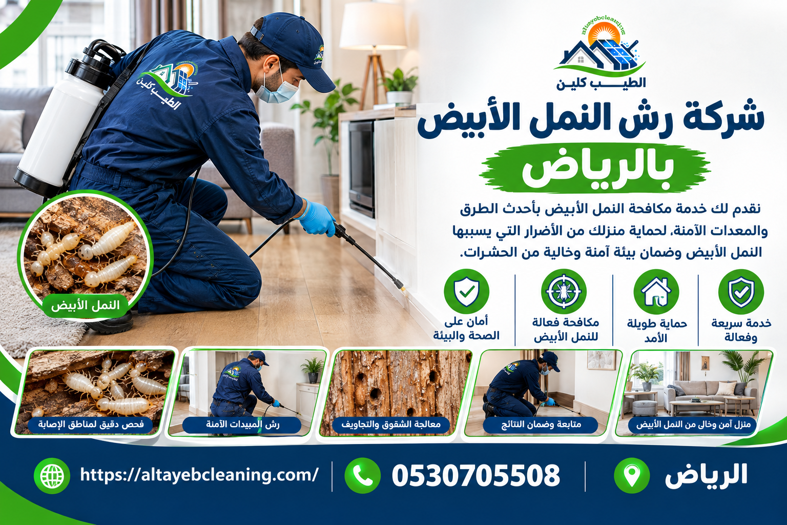 شركة رش النمل الأبيض بالرياض