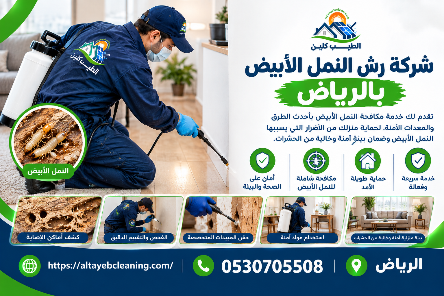 شركة رش النمل الأبيض بالرياض