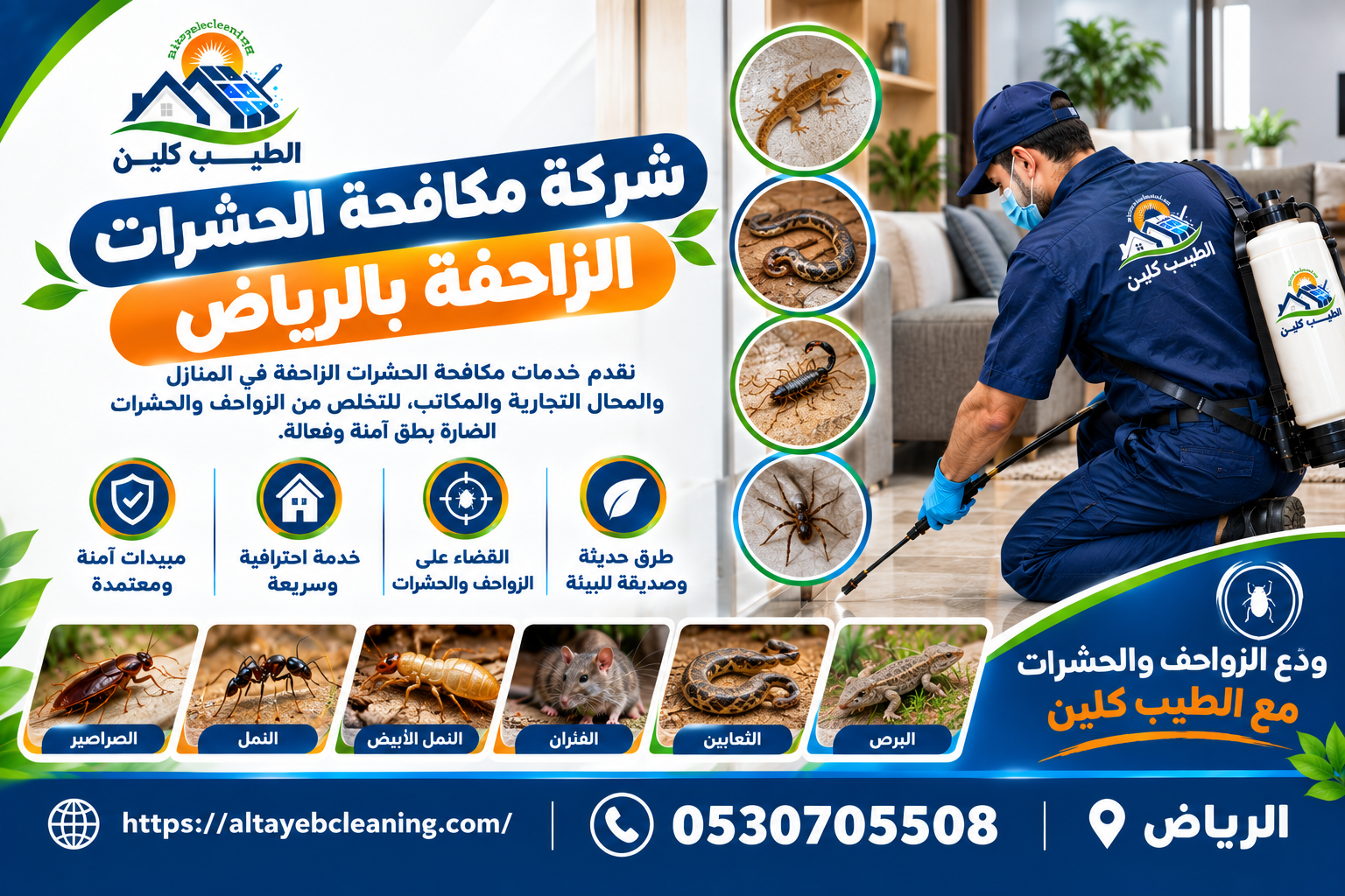شركة مكافحة الحشرات الزاحفة بالرياض