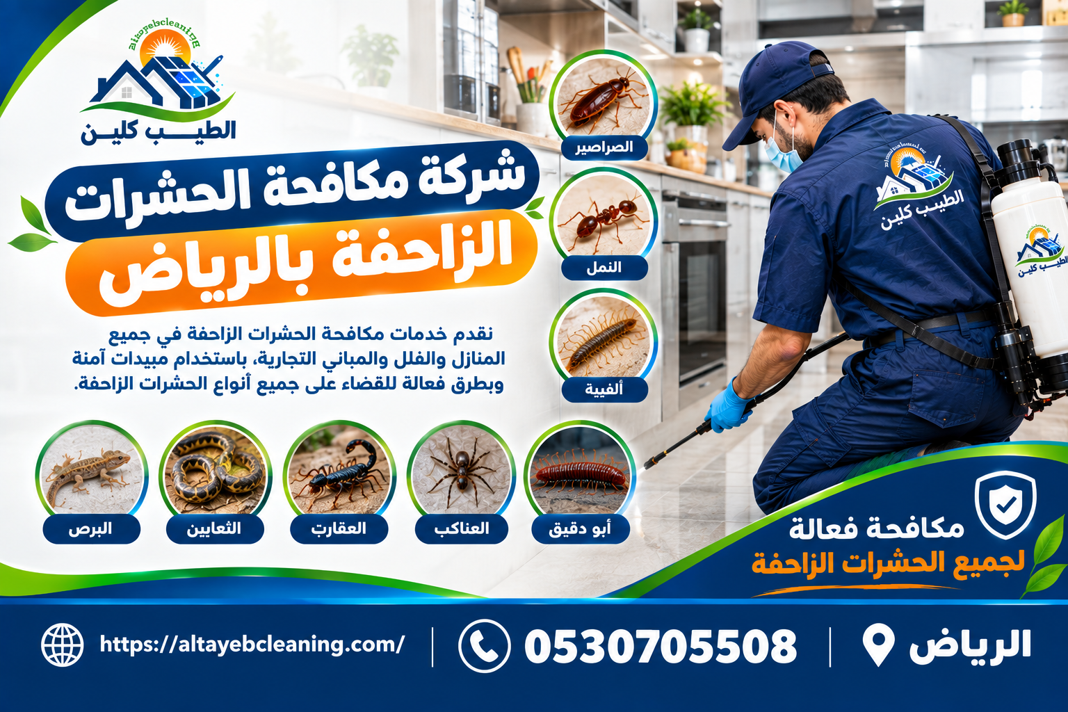 شركة مكافحة الحشرات الزاحفة بالرياض