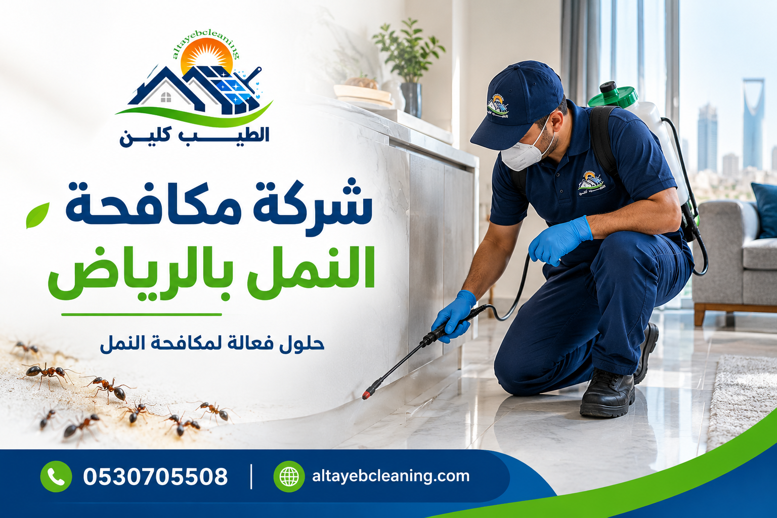شركة مكافحة النمل بالرياض