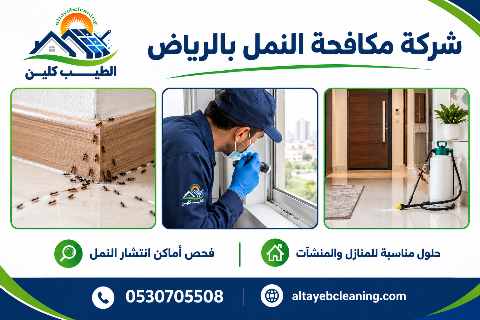 شركة مكافحة النمل بالرياض
