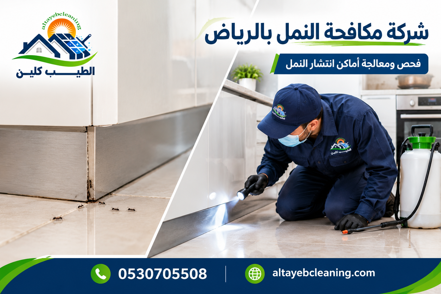 شركة مكافحة النمل بالرياض